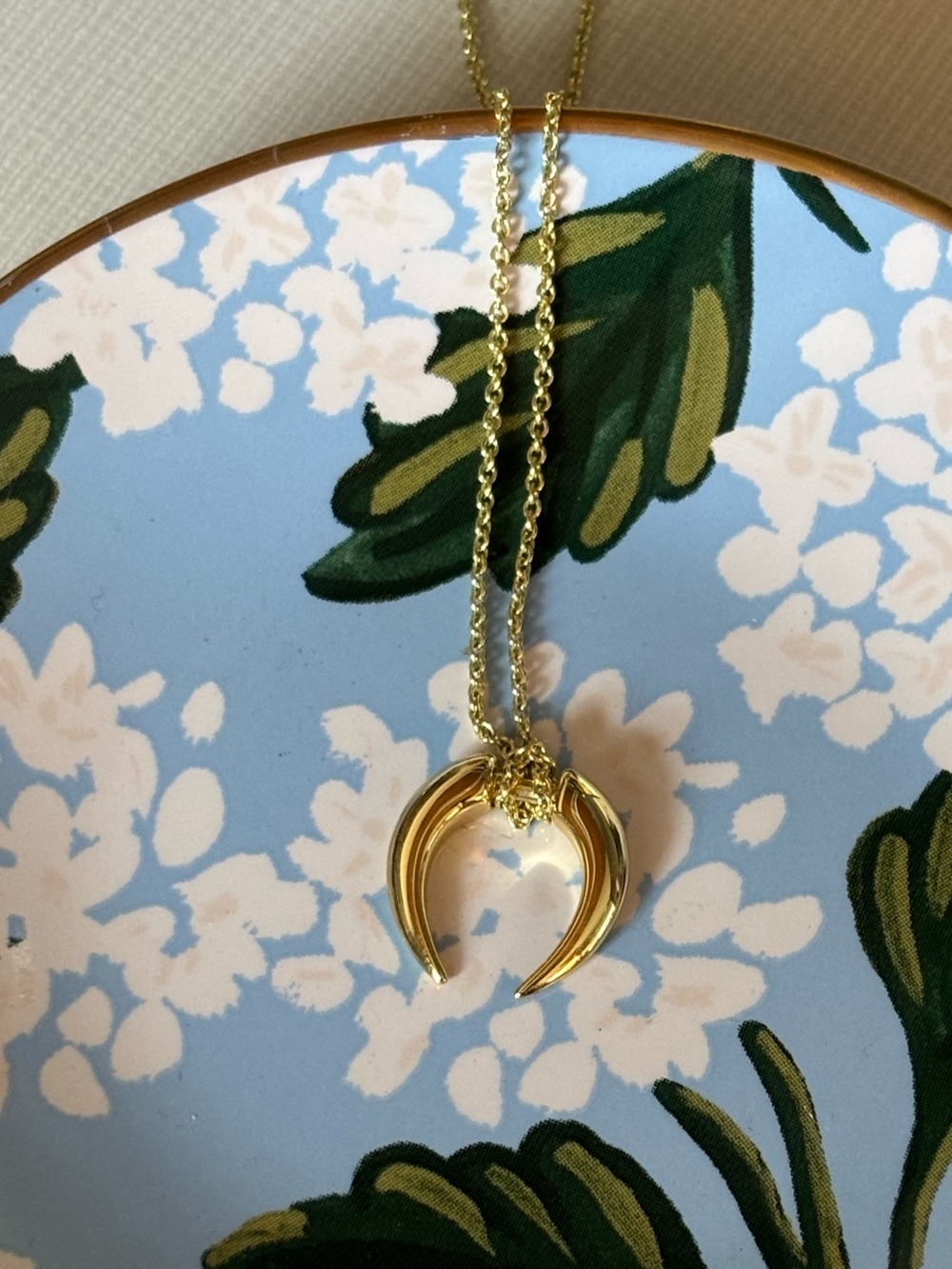 Ana Luisa gold crescent moon/horn pendant necklace